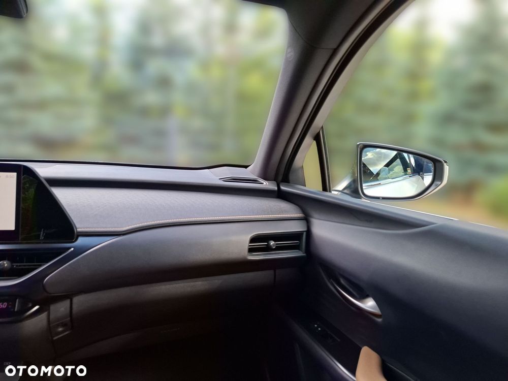 Lexus UX 300h Business - 28