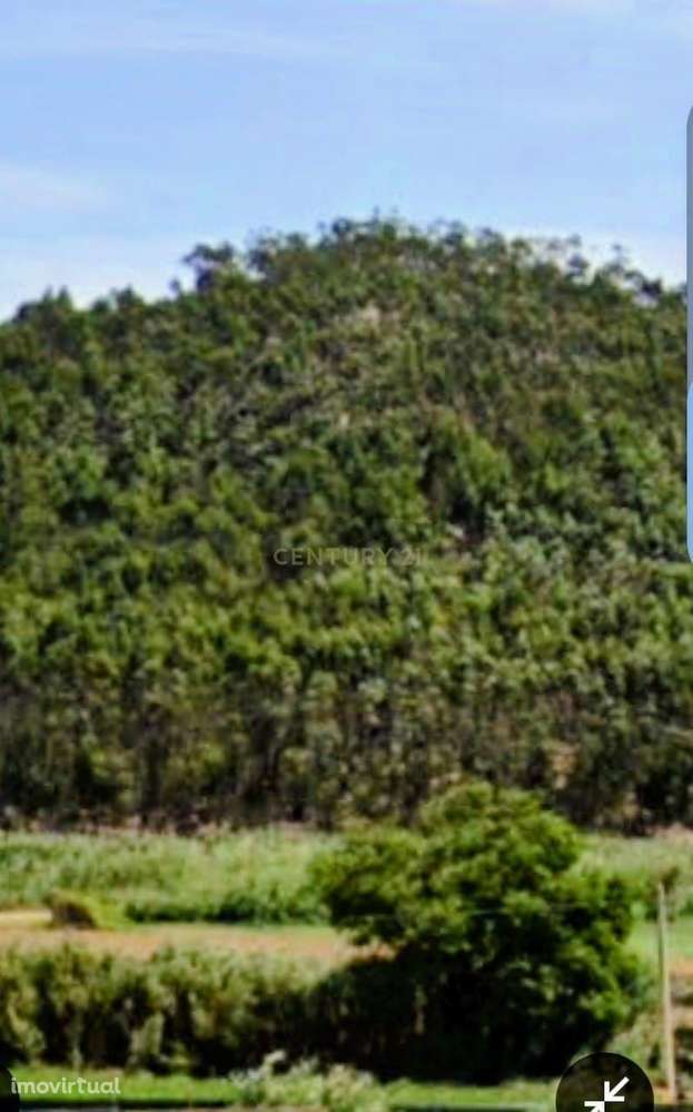 Excelente oportunidade de investimento em Torres Vedras - Grande imagem: 3/3