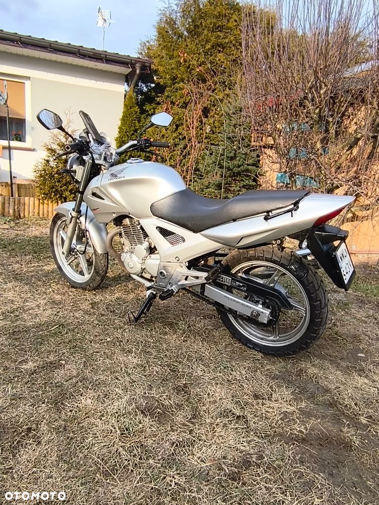 Honda CBF - 13