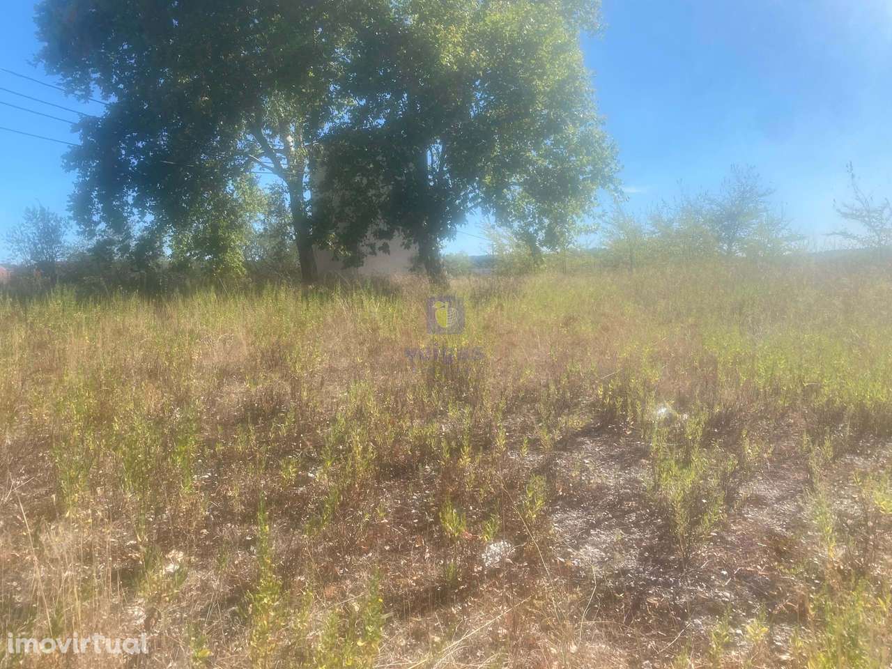 Terreno Alcanena - Grande imagem: 4/27