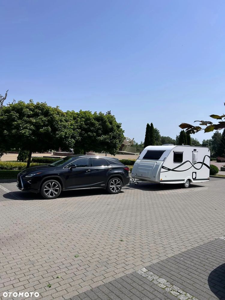 Niewiadów N-Sport  N126 - 4