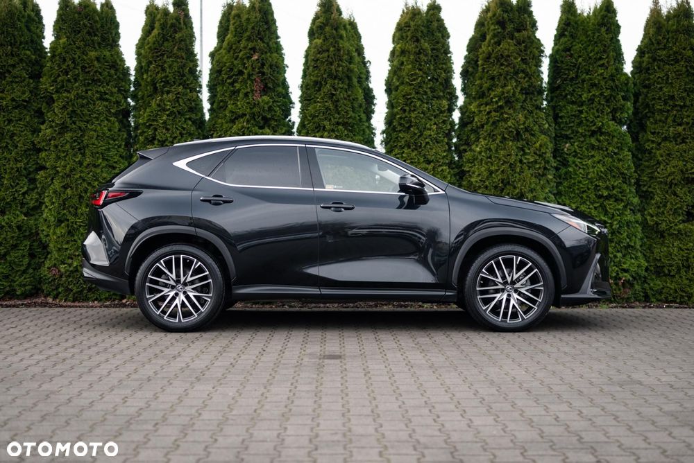 Lexus NX - 8