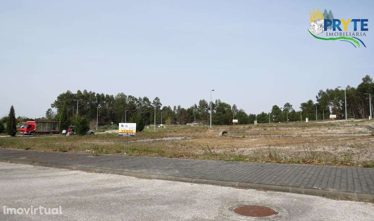 Lote para construção em urbanização no Alto Ventoso-Cernache Bonjardim - Grande imagem: 2/5