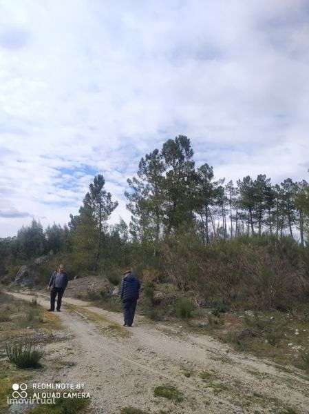 Oportunidade de Negocio- Terreno 4.000 m2 - Grande imagem: 2/4