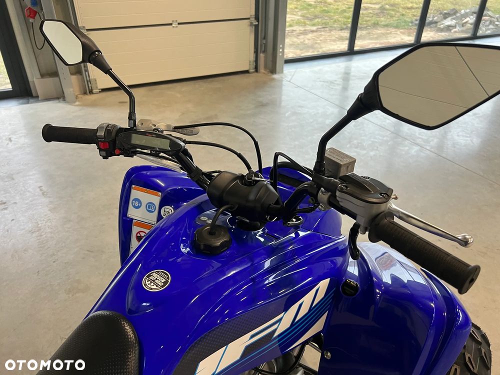 Yamaha Raptor - 9