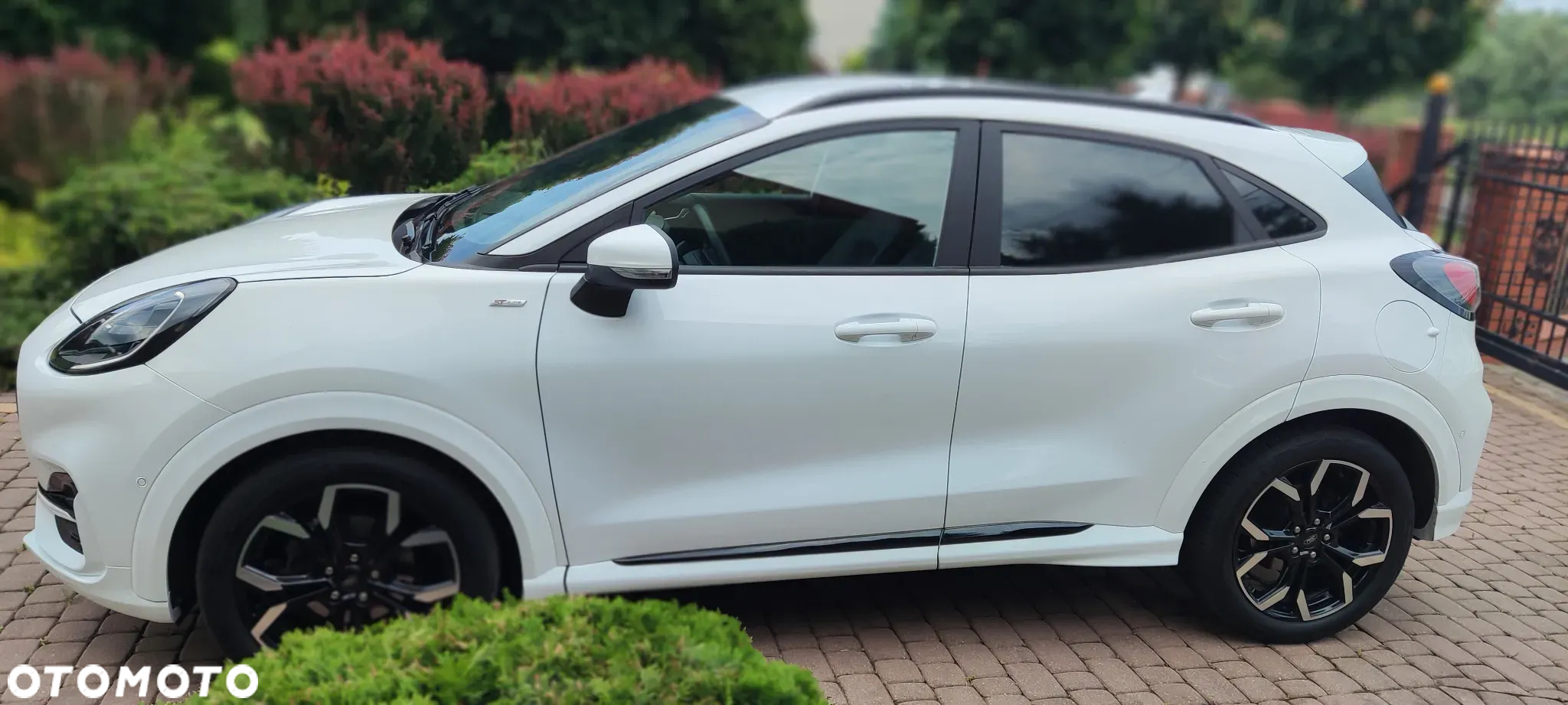 Ford Puma 1.0 EcoBoost mHEV ST-Line X Gold DCT - 8