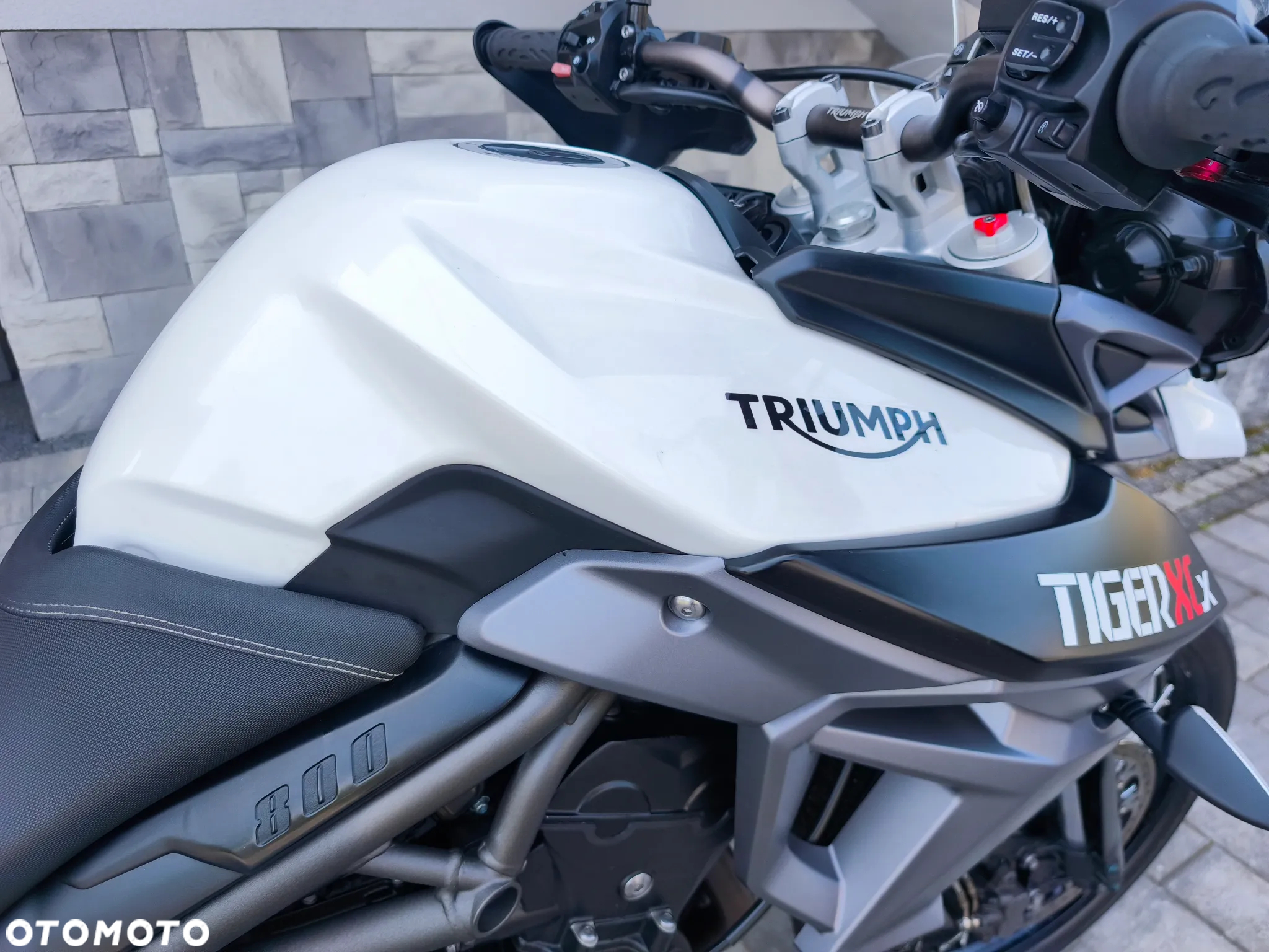 Triumph Tiger - 23
