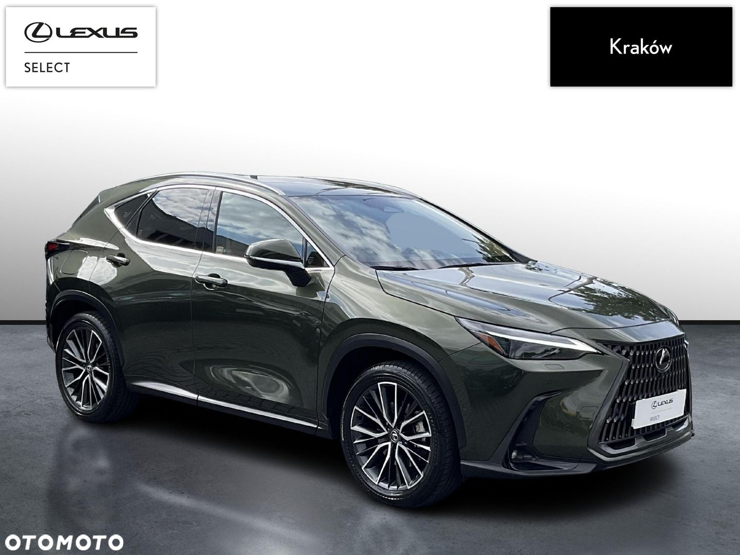 Lexus NX - 7