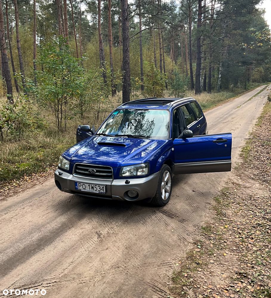 Subaru Forester - 35