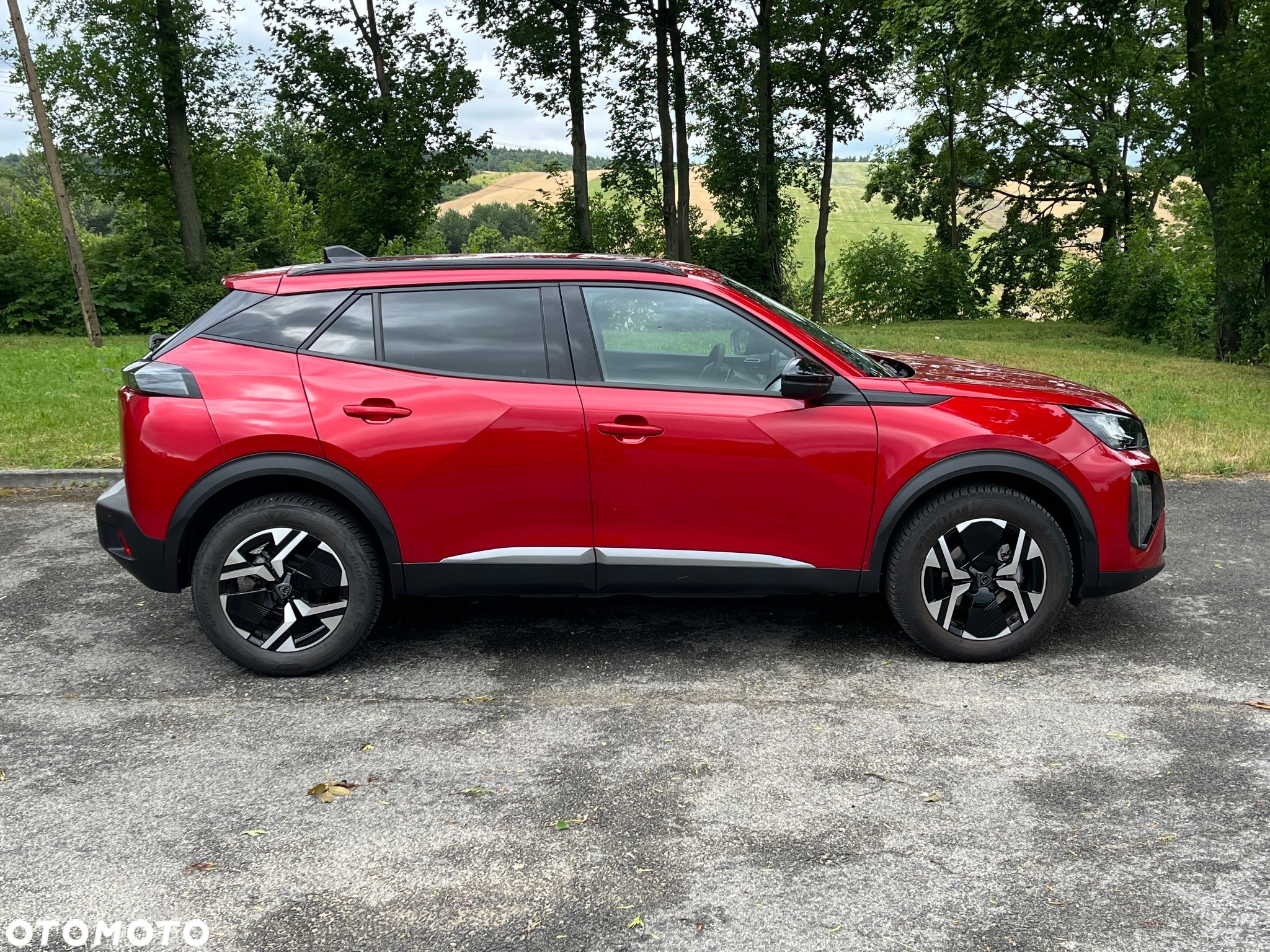 Peugeot 2008 - 6