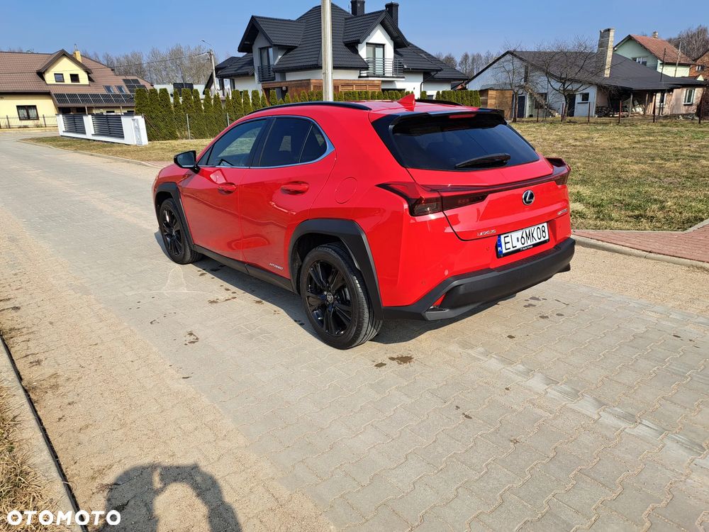 Lexus UX 250h Prestige 2WD - 6