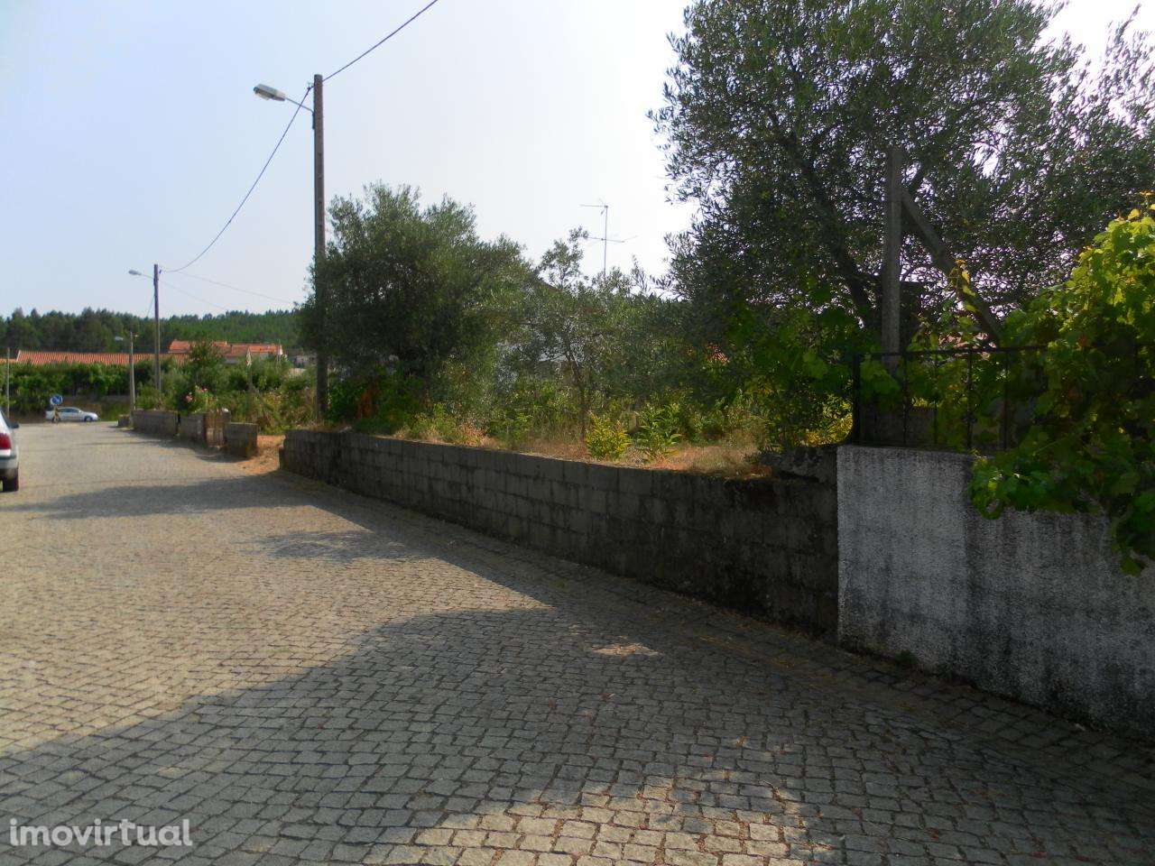 Lote de Terreno - Grande imagem: 2/8