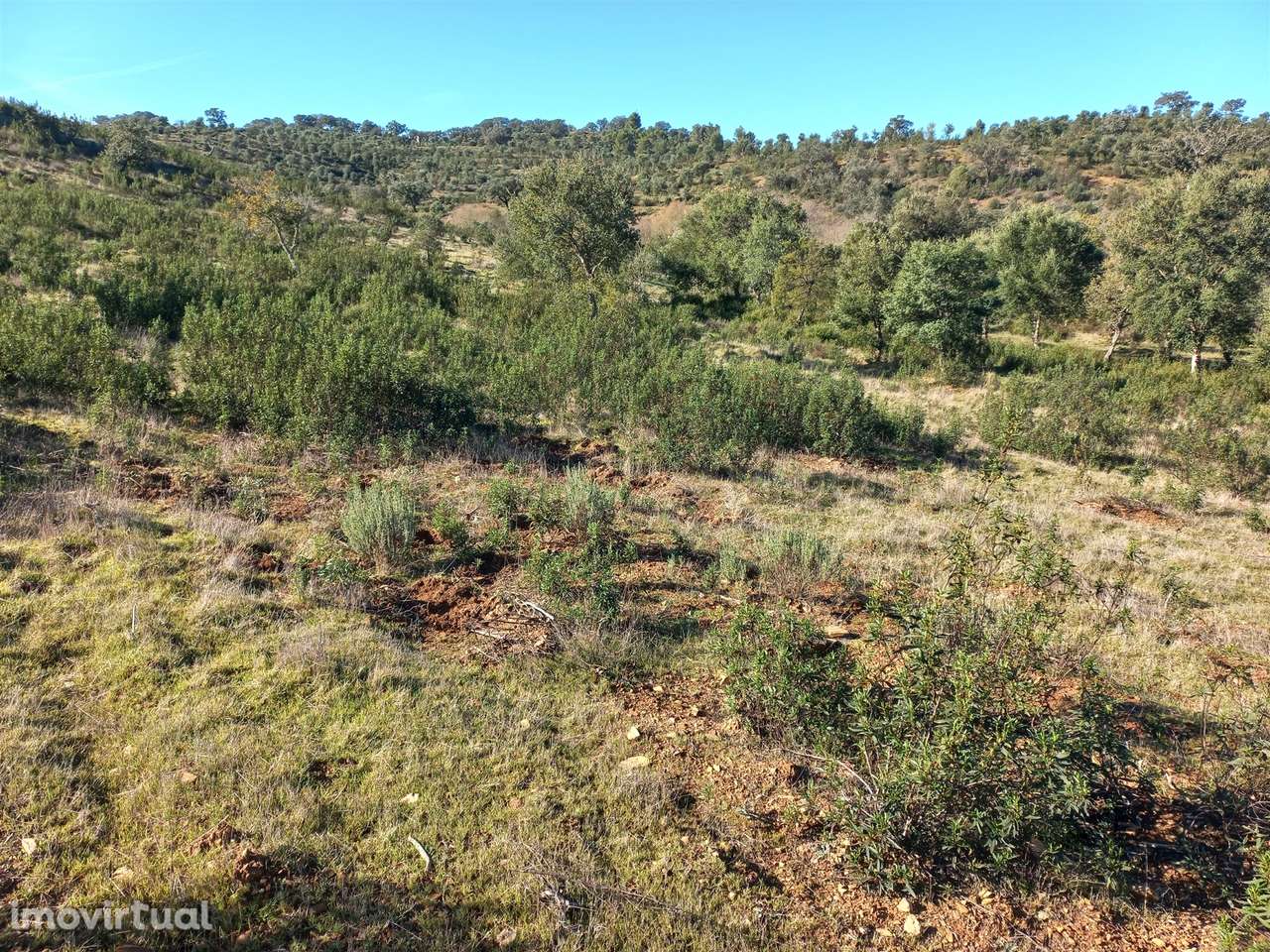 Terreno Rústico  Venda em Santa Clara-a-Nova e Gomes Aires,Almodôvar - Grande imagem: 2/16