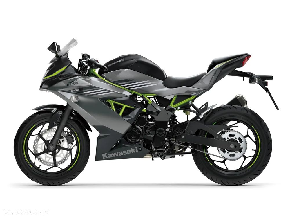 Kawasaki Ninja - 3