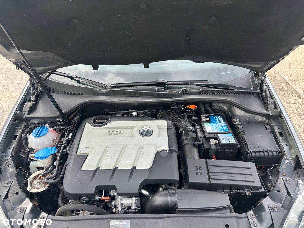 Volkswagen Golf - 35