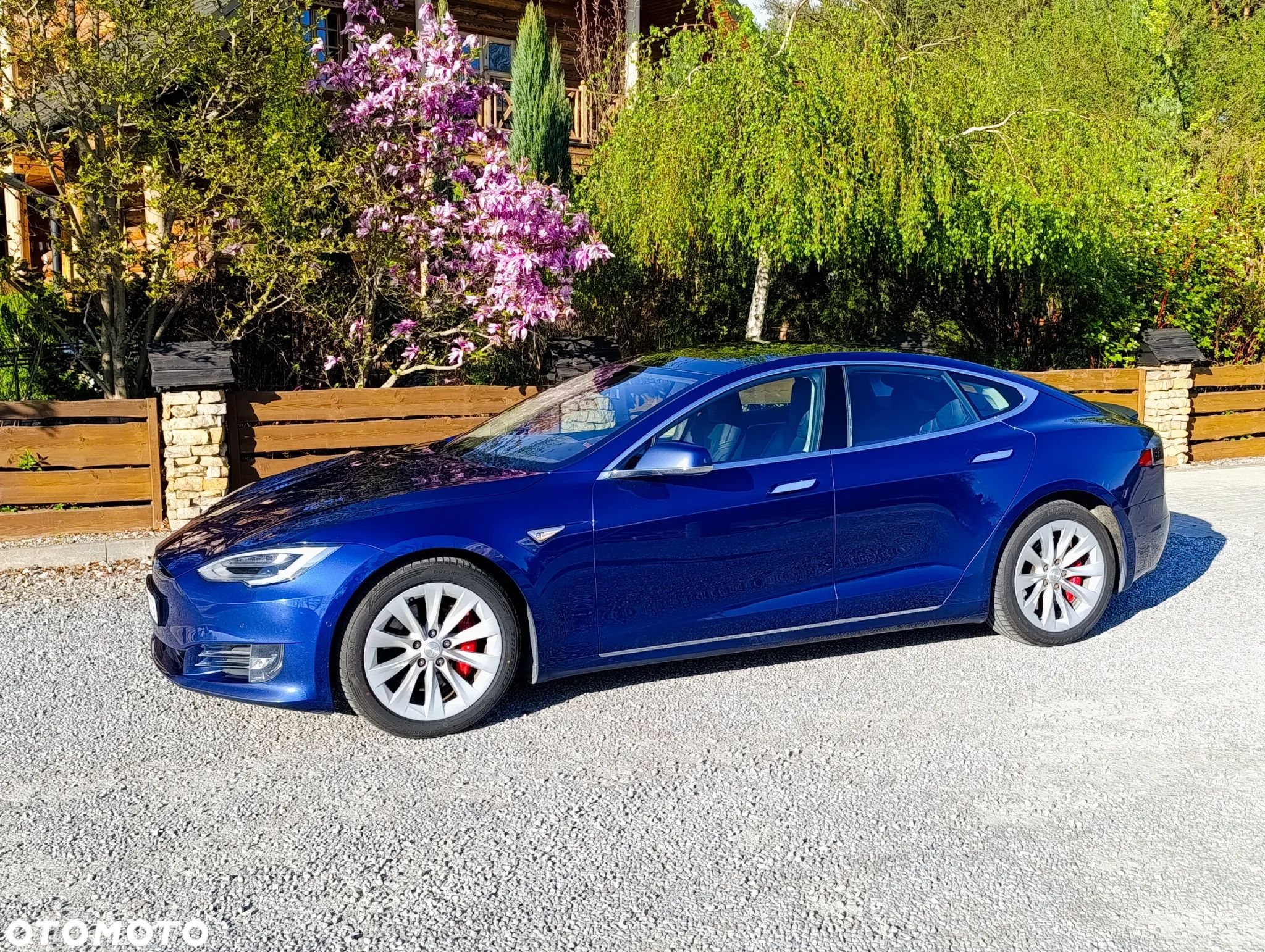 Tesla Model S Performance - 1