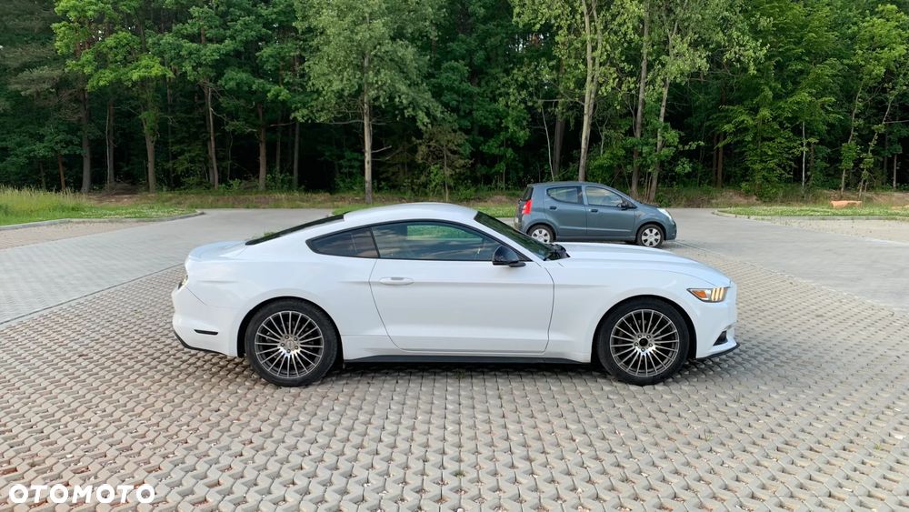 Ford Mustang 3.7 V6 - 5
