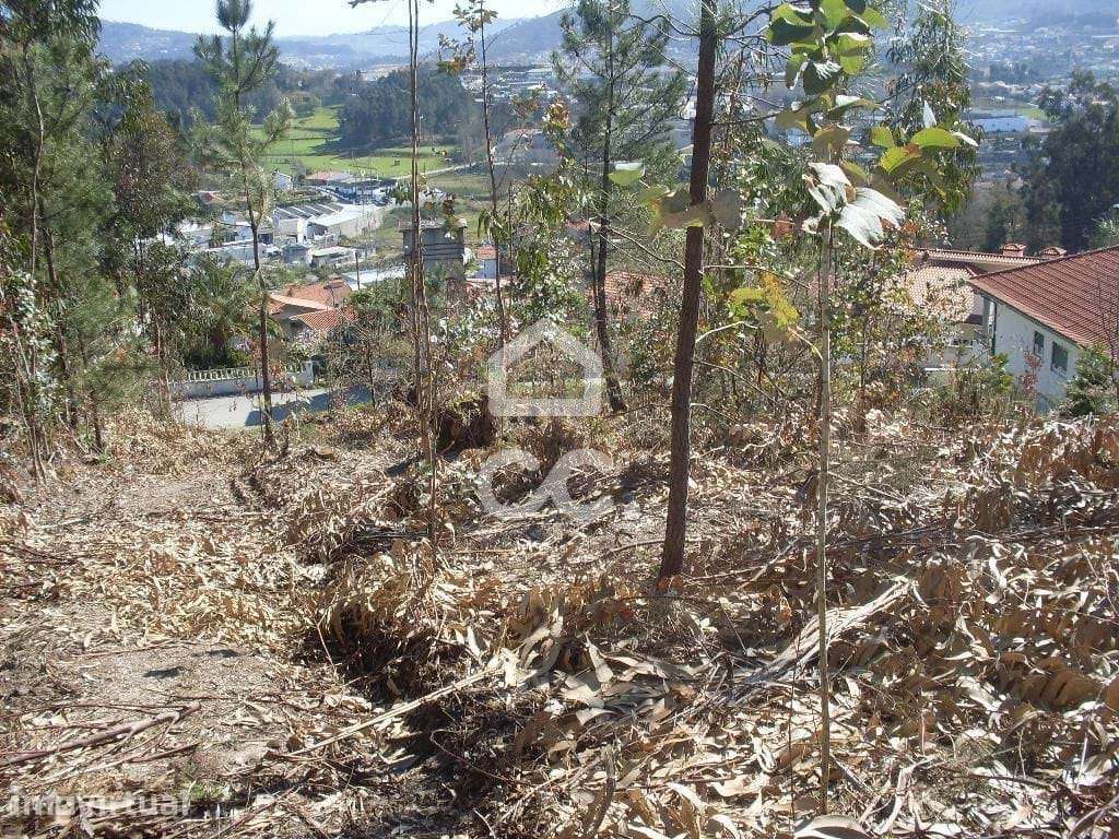 Terreno para moradia - Terreno Construção - Grande imagem: 2/5