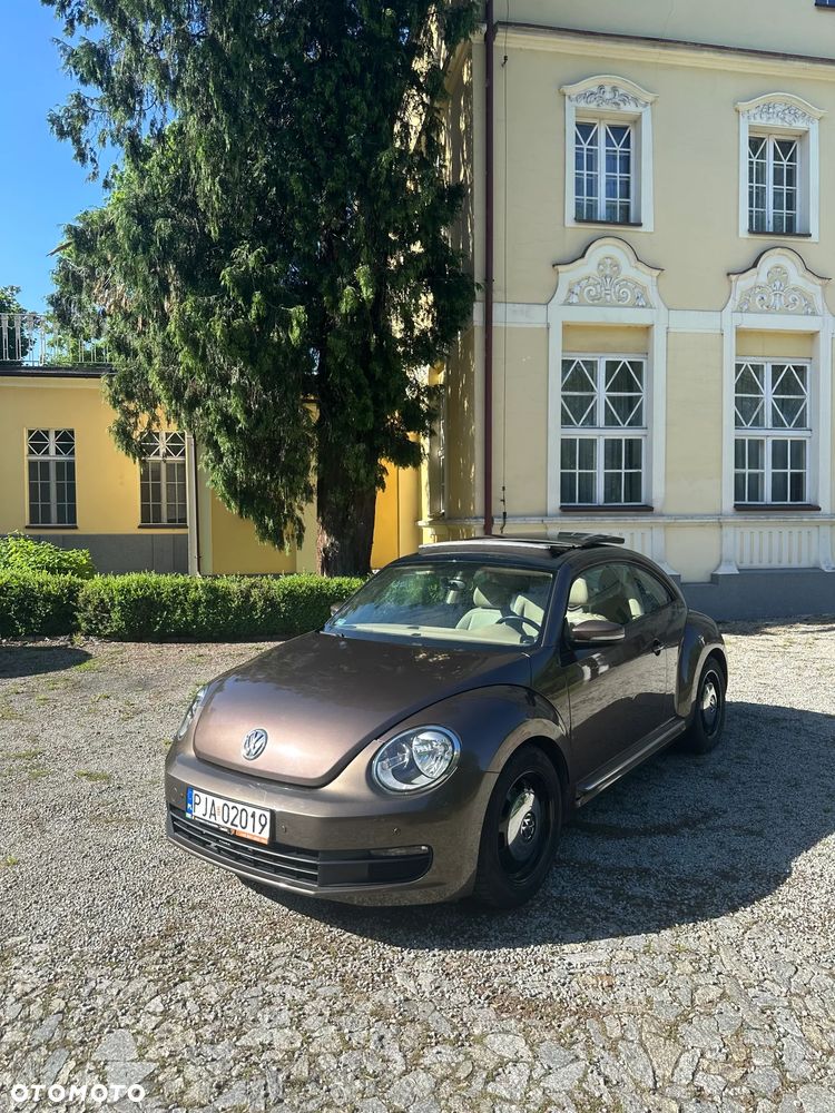 Volkswagen Beetle - 1