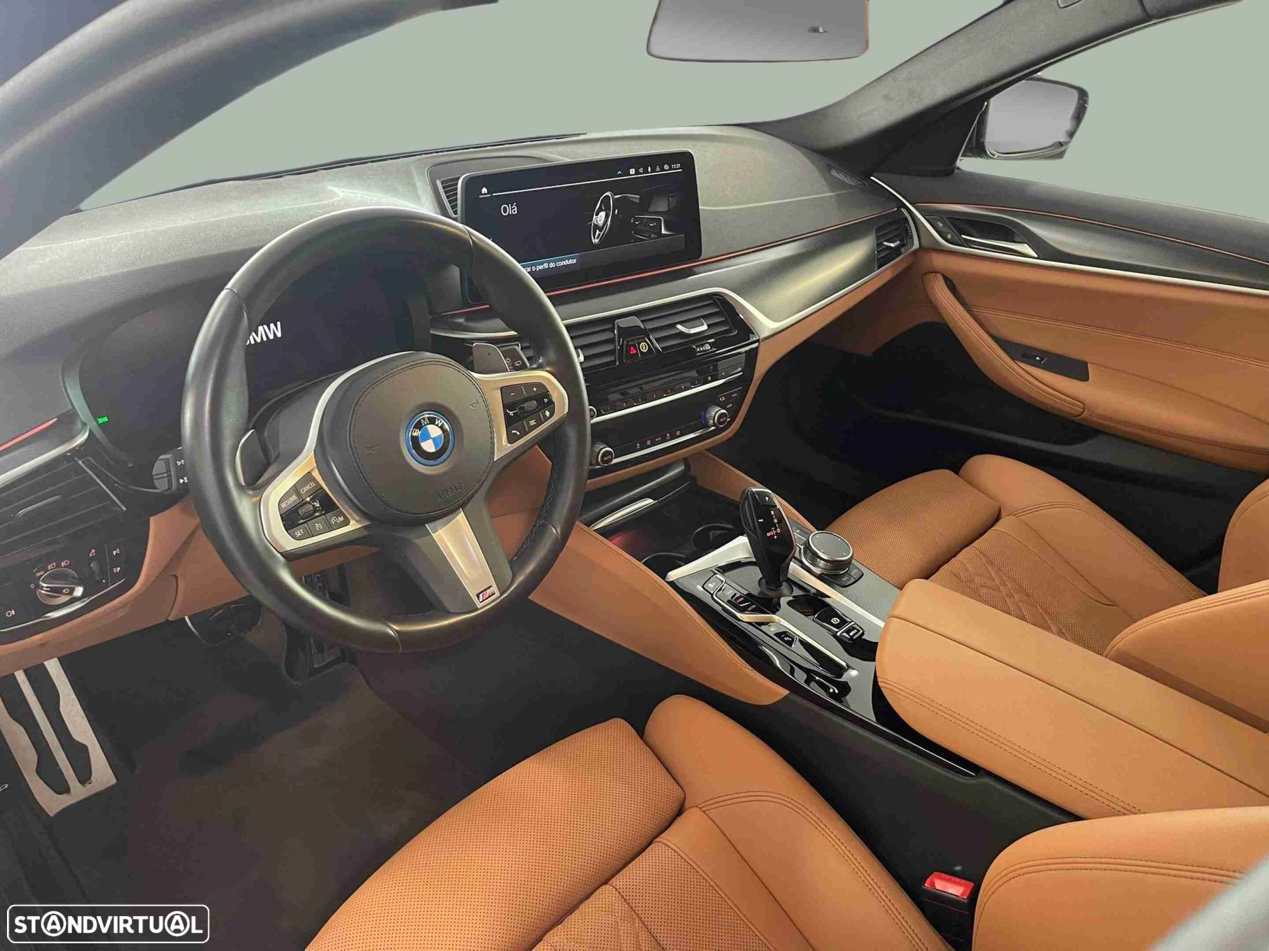 BMW 530 - 10