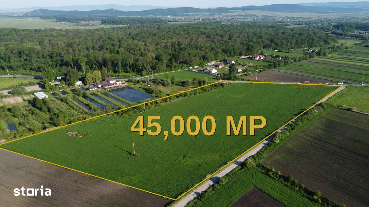 TEREN 45.000 MP | PUZ APROBAT | 156 M FRONT DN11 | PREJMER - BRASOV - Imagine principală: 4/8