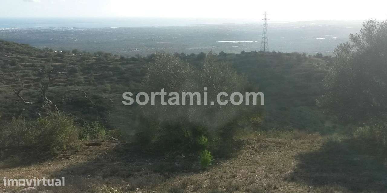 Terreno Para Construção  Venda em Conceição e Estoi,Faro - Grande imagem: 2/3