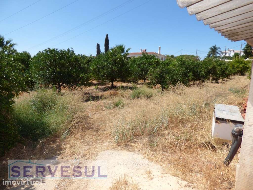 Lote de terreno com 3150 m2, em zona urbana e com um Armazém para r... - Grande imagem: 5/19