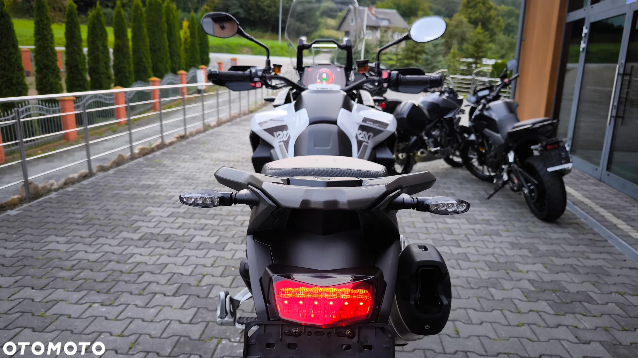 Triumph Tiger - 24