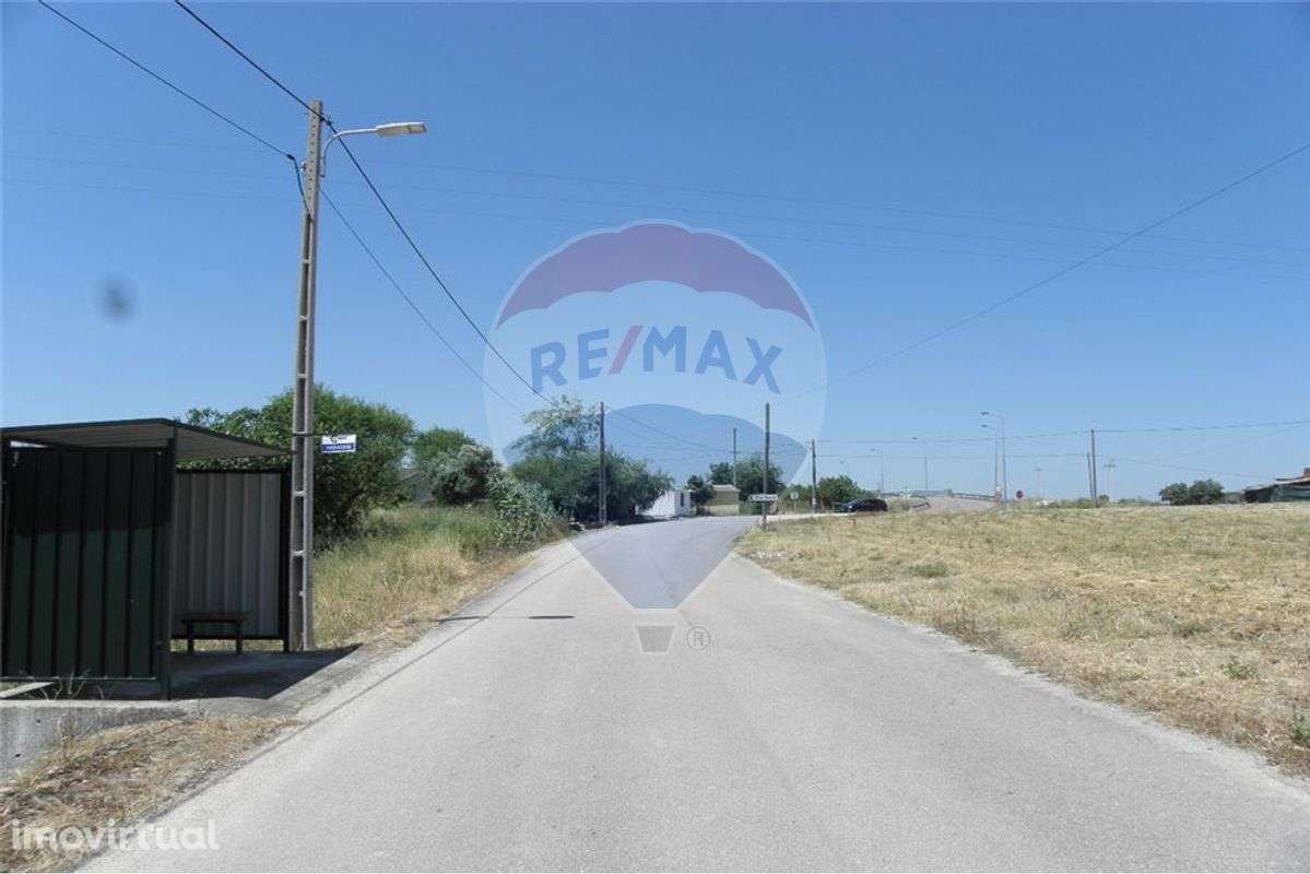 TERRENO PLANO COM DUAS FRENTES E ÁREA DE 16.360 M2 - Grande imagem: 3/20