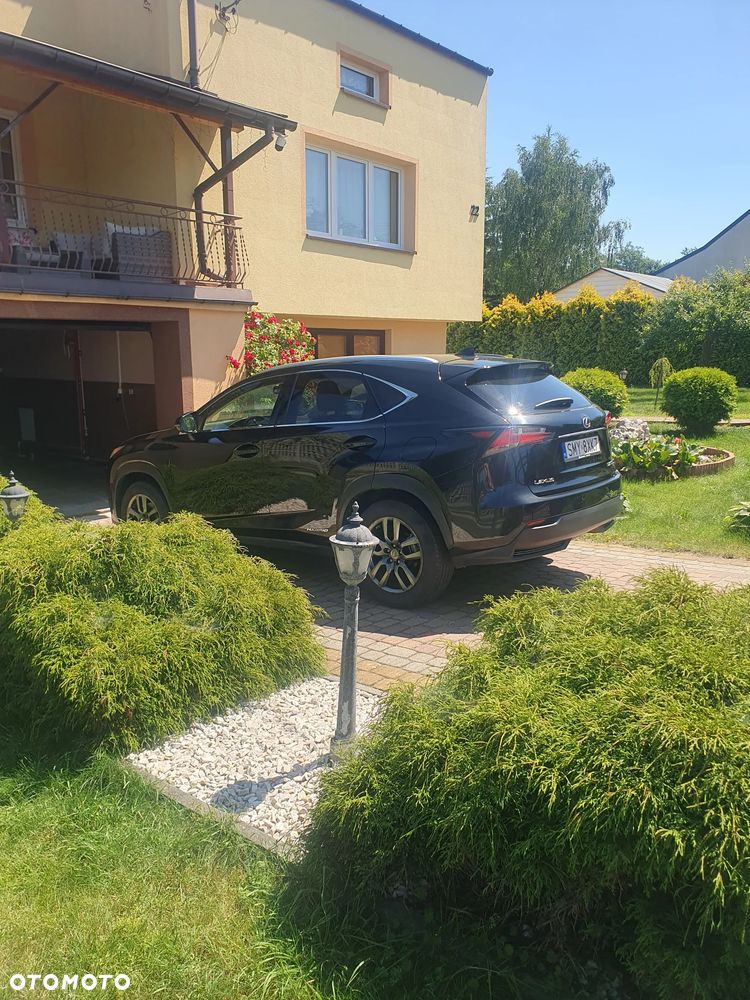 Lexus NX 300h Elegance AWD - 2