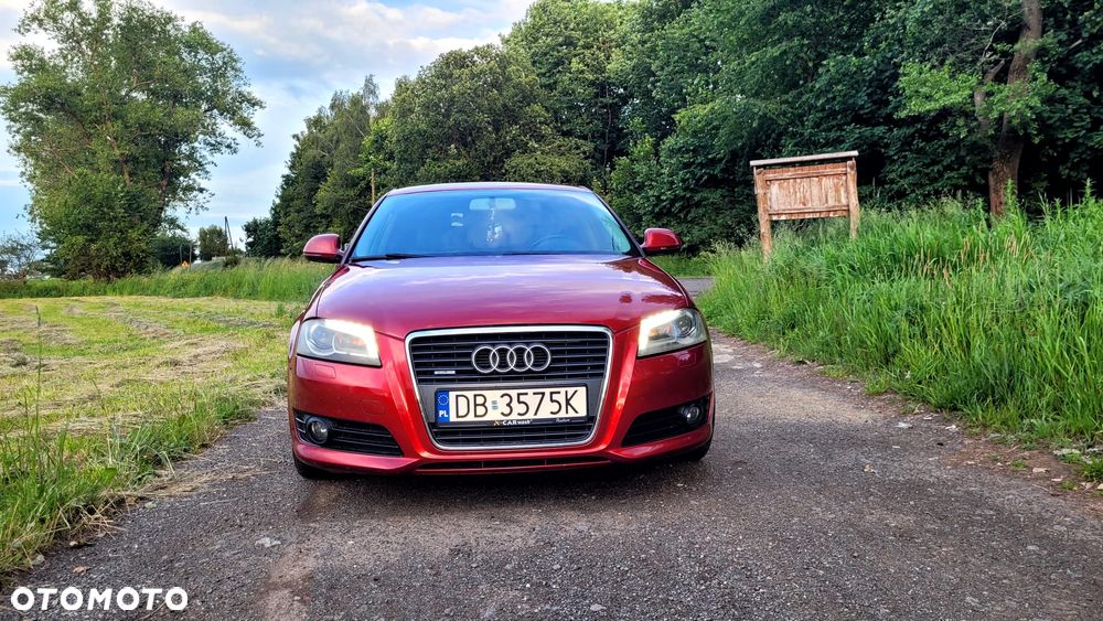 Audi A3 3-drzwiowe 2.0 TDI DPF Quattro Ambiente - 6