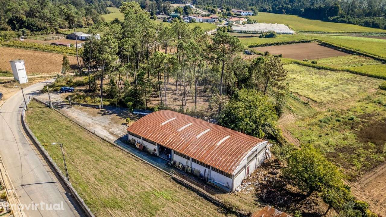 Armazém  para venda - Grande imagem: 3/27