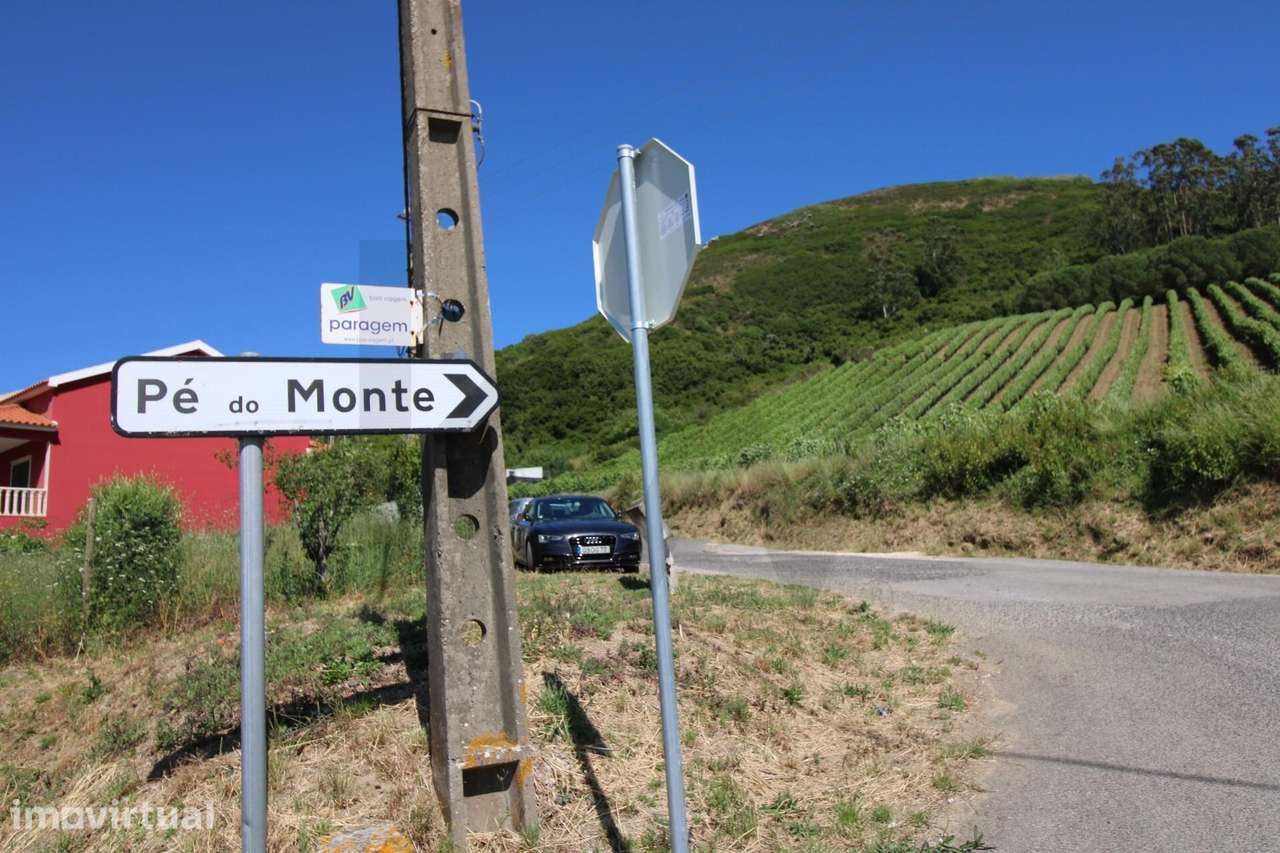 Moradia Isolada com projeto Aprovado | Pé do Monte - São Quintino - Grande imagem: 3/41