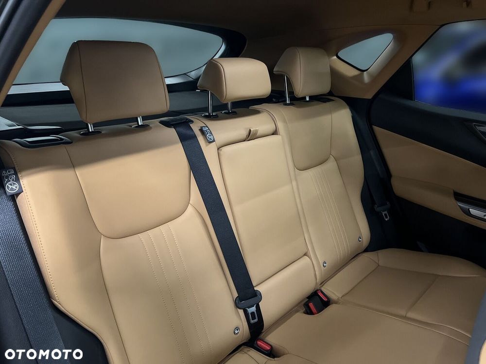 Lexus NX - 15