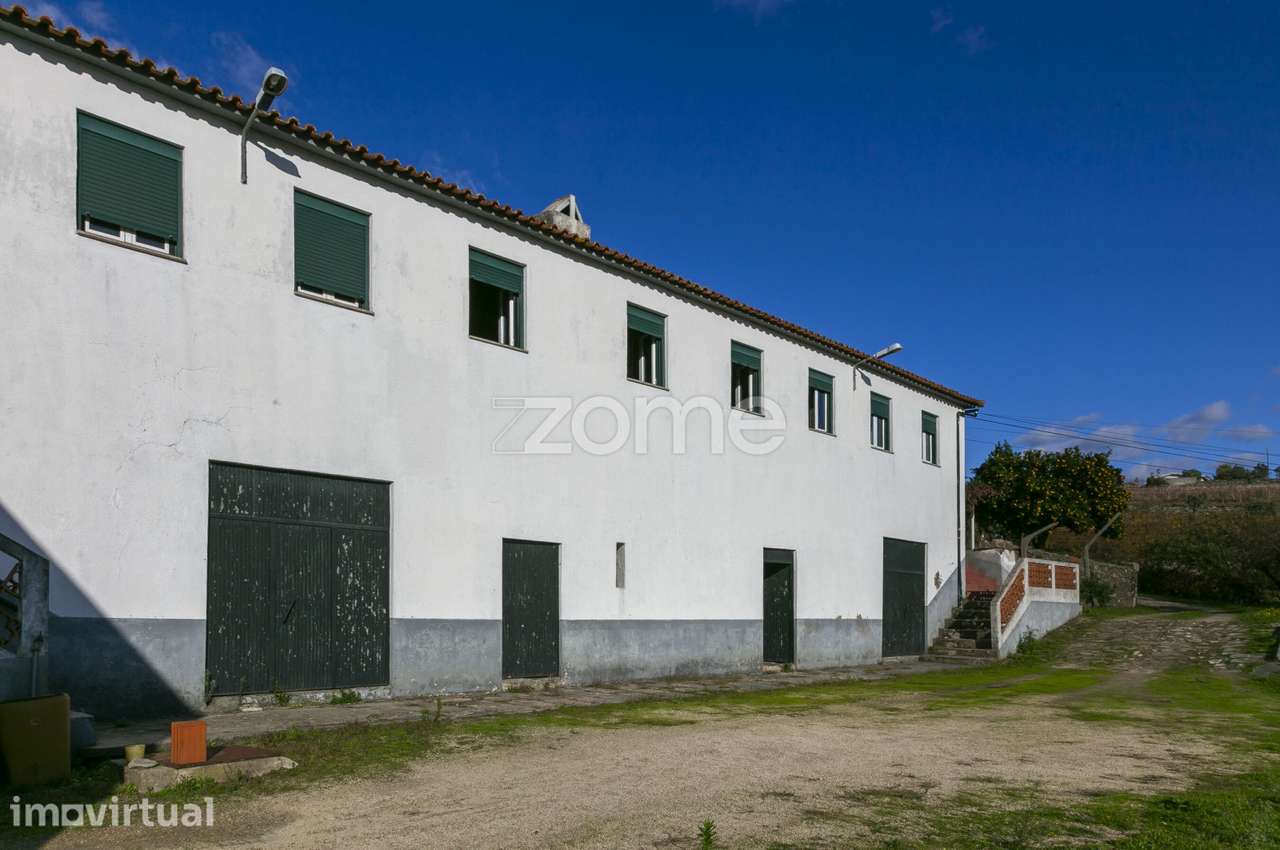 Quinta do Viso - Peso da Régua - Grande imagem: 4/26