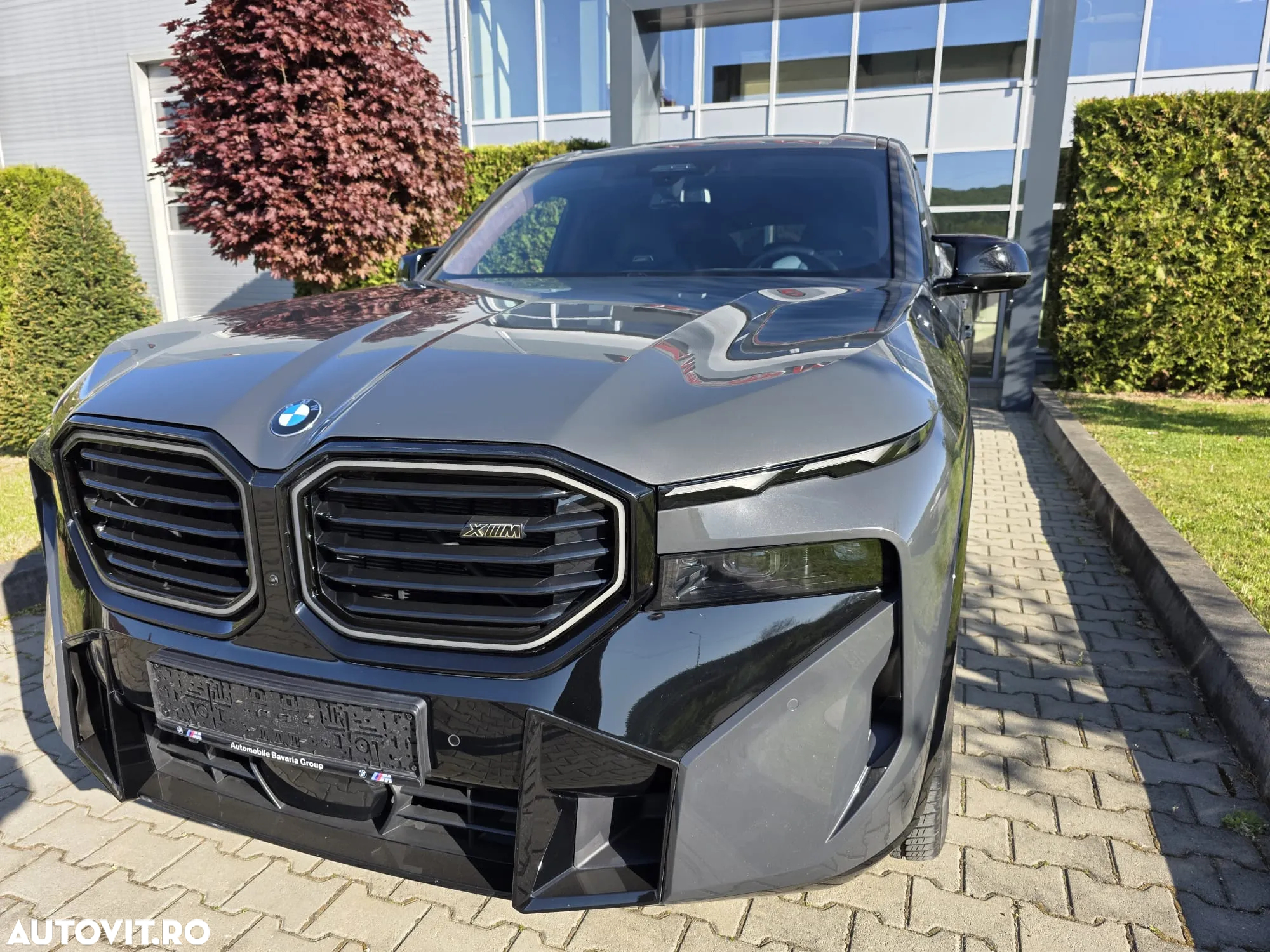 BMW XM Standard - 7