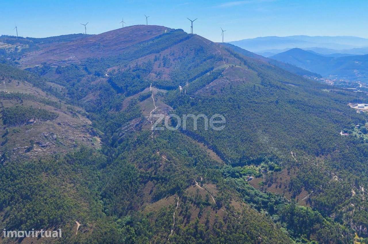 Terreno com 5 Hectares em Sebolido, Penafiel, Porto - Grande imagem: 4/14