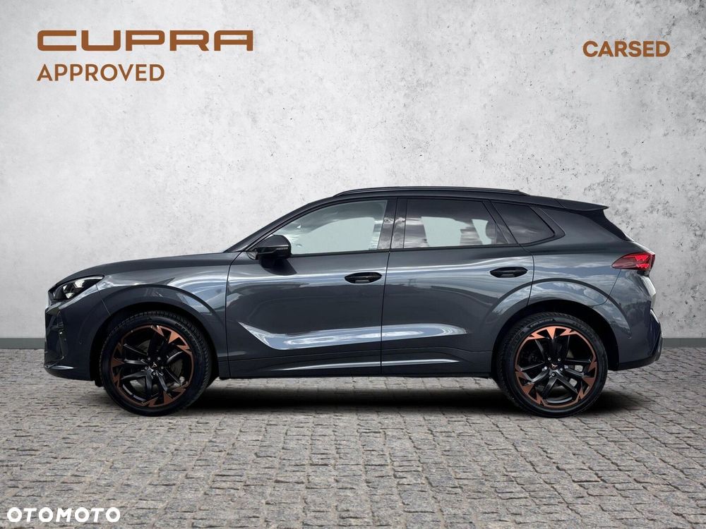 Cupra Terramar 2.0 TSI 4Drive VZ DSG - 4
