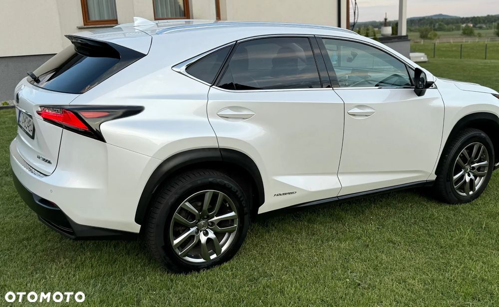 Lexus NX 300h Comfort AWD - 5