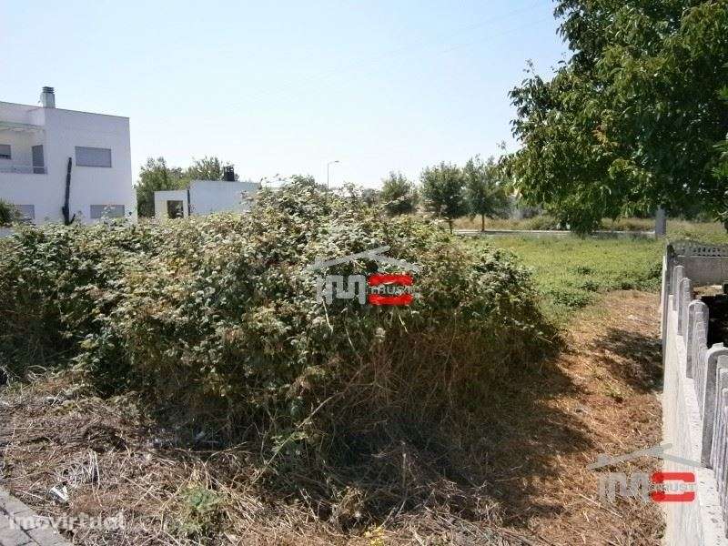 Terreno para construção - Grande imagem: 4/6