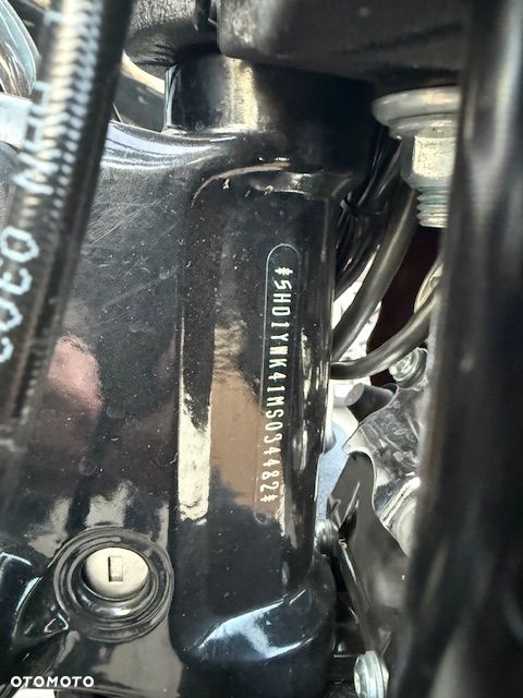 Harley-Davidson Softail Low Rider - 13