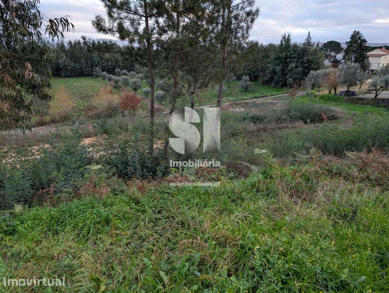 Terreno em Arganil - Grande imagem: 5/11