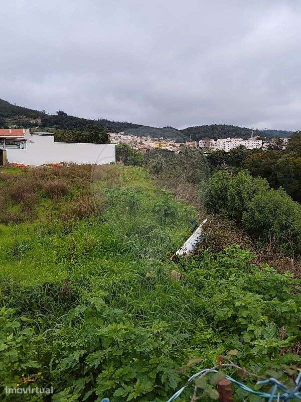 Terreno  para venda - Grande imagem: 3/4