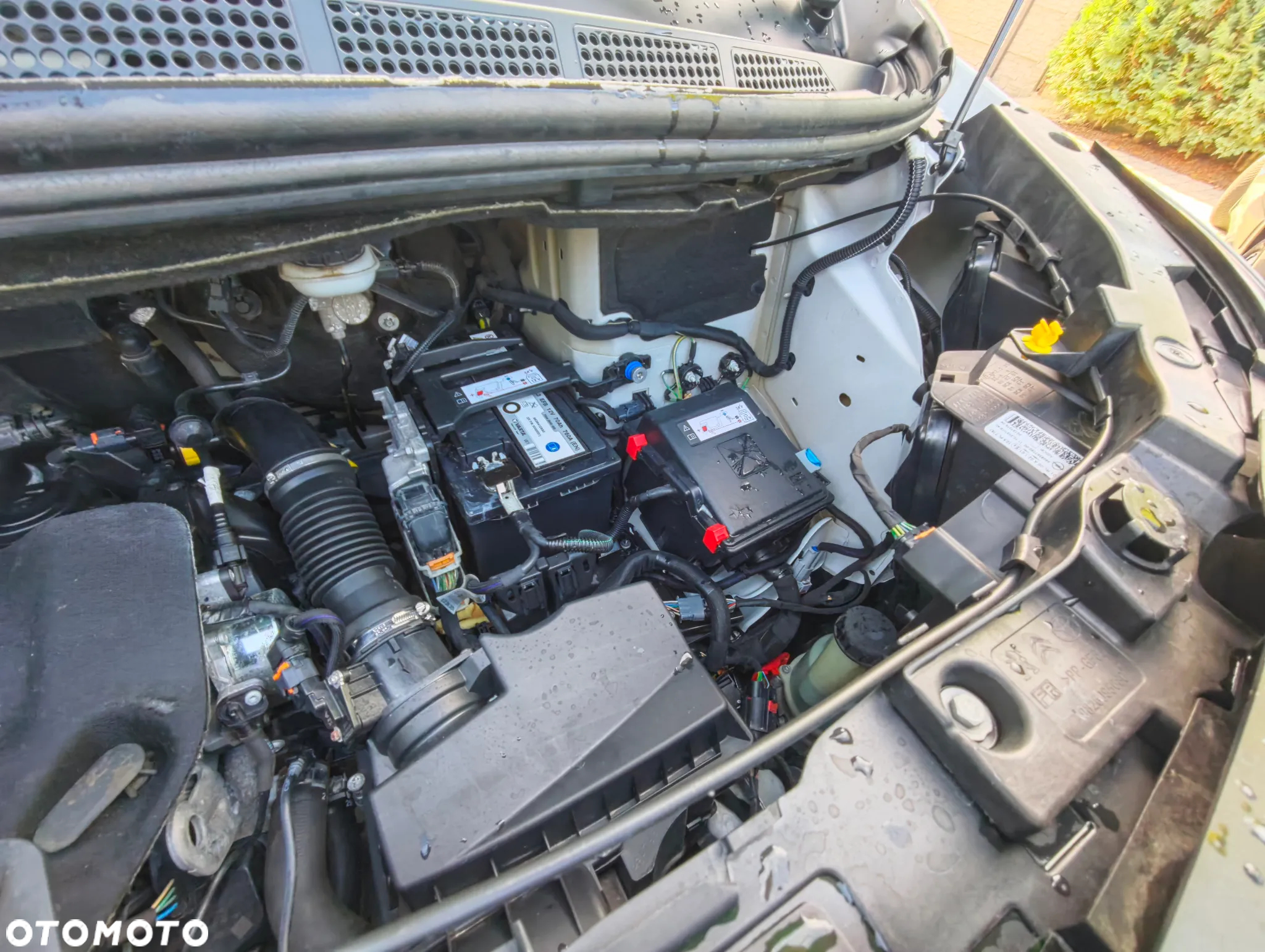 Opel Vivarto - 27