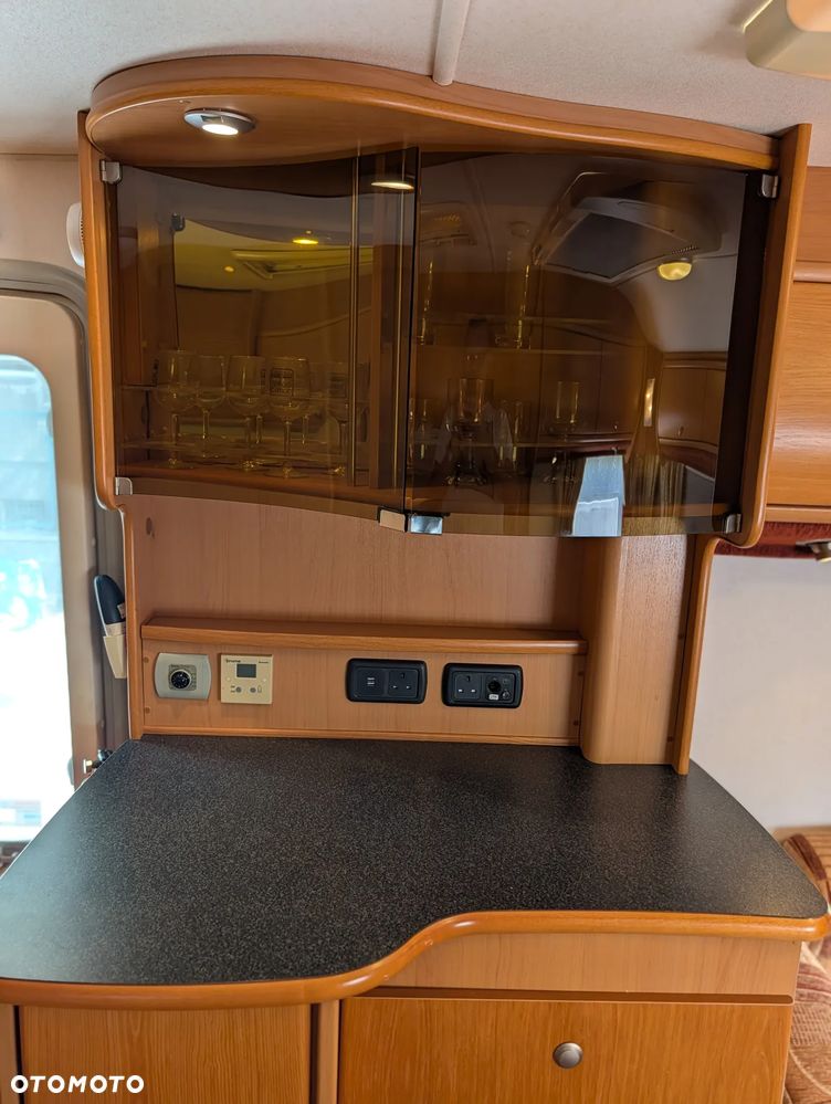 Avondale Golden Avocet - 24