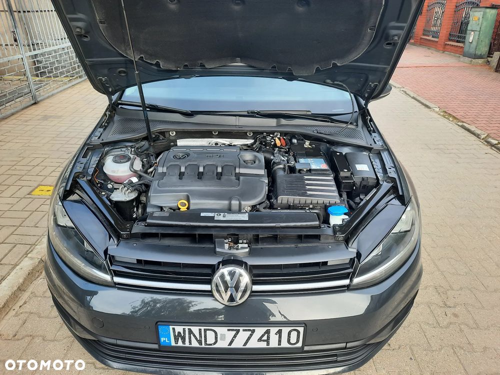 Volkswagen Golf - 31