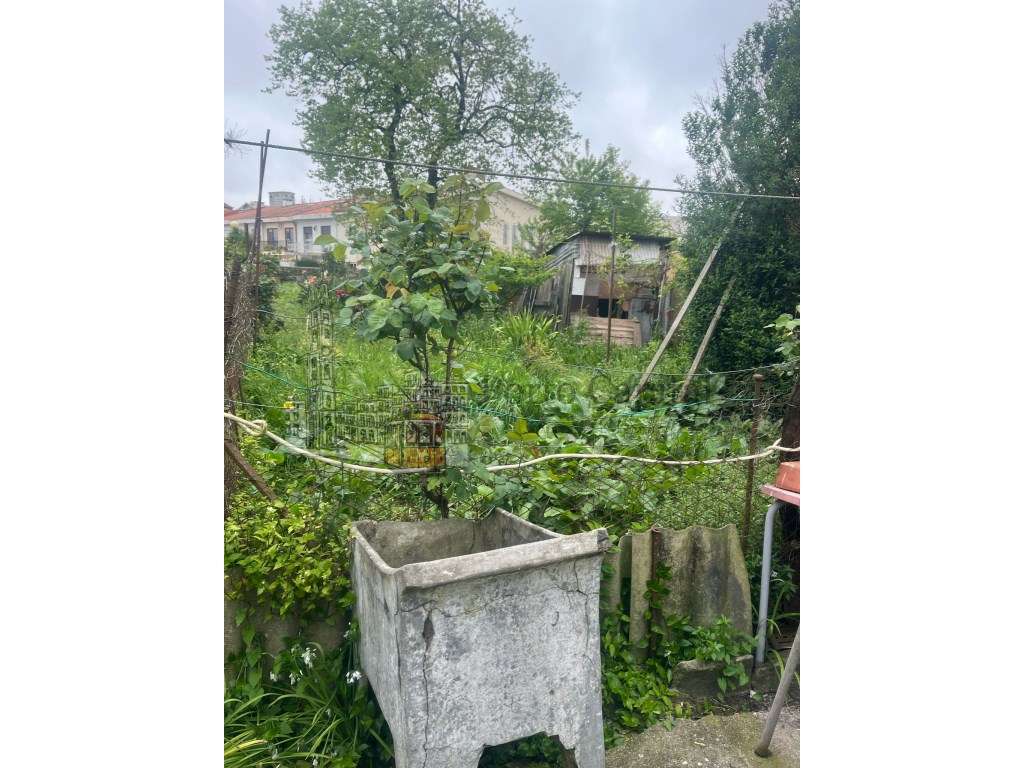 Terreno 1000m² com Viabilidade para Edifício - Sra. da Hora - Grande imagem: 3/20