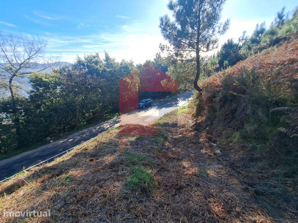 Terreno florestal, Valões - Grande imagem: 5/9