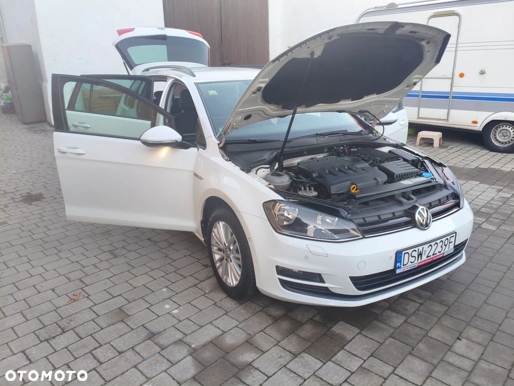 Volkswagen Golf 1.6 TDI BlueMotion Technology Cup - 35