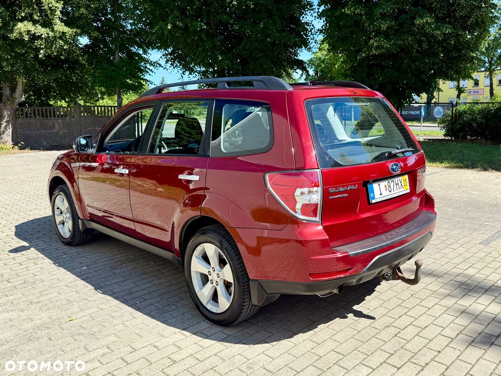 Subaru Forester - 9